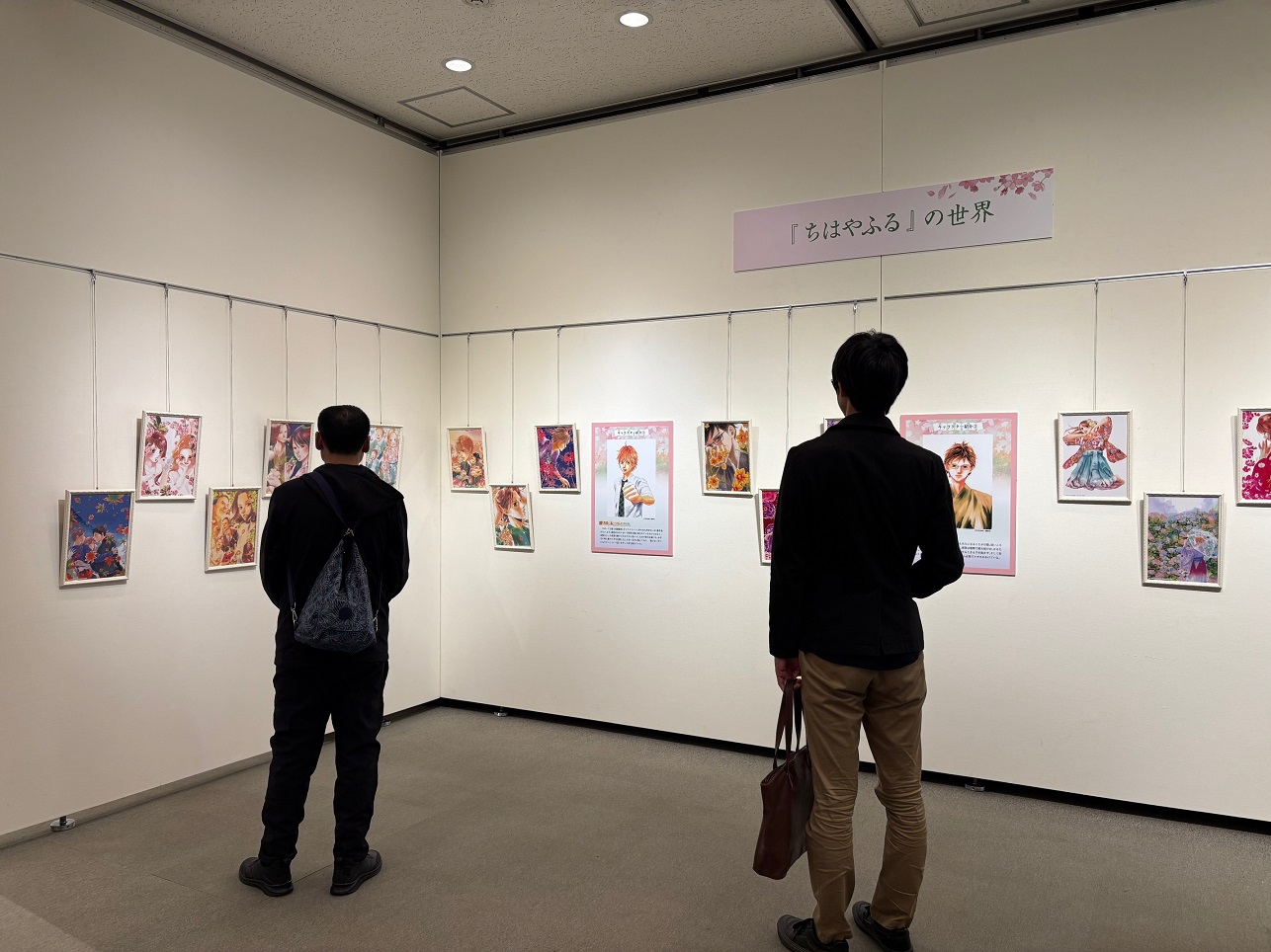 展示