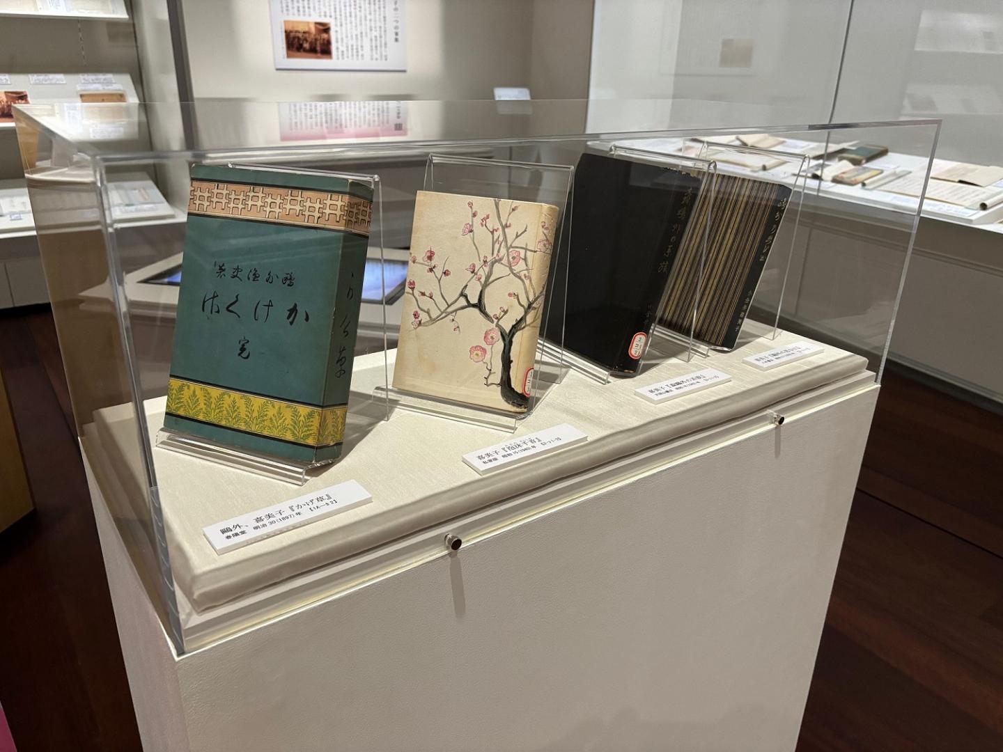 コレクション展6