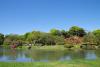 六義園（出汐湊から中の島・藤代峠）