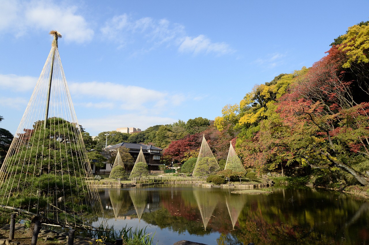 紅葉の様子