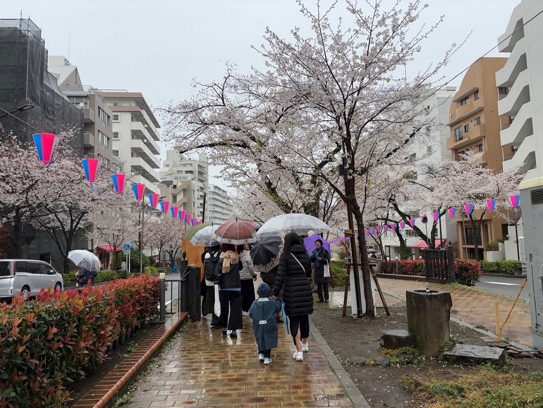 文京さくらまつり会場の様子2