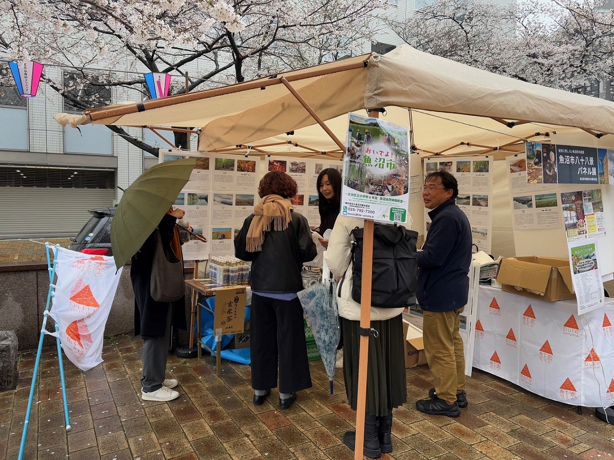 文京さくらまつり会場の様子4