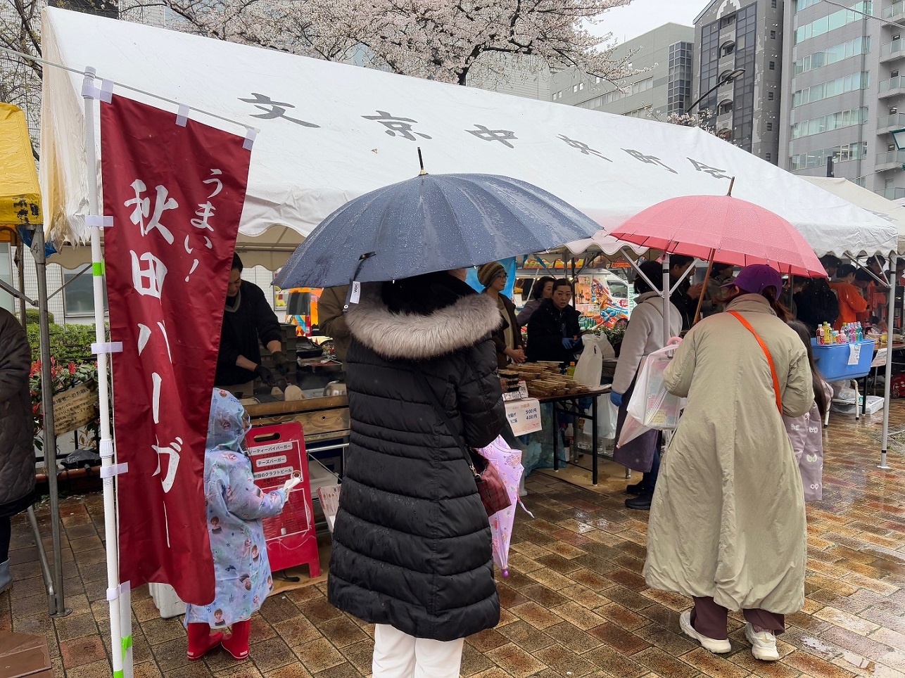 文京さくらまつり会場の様子5