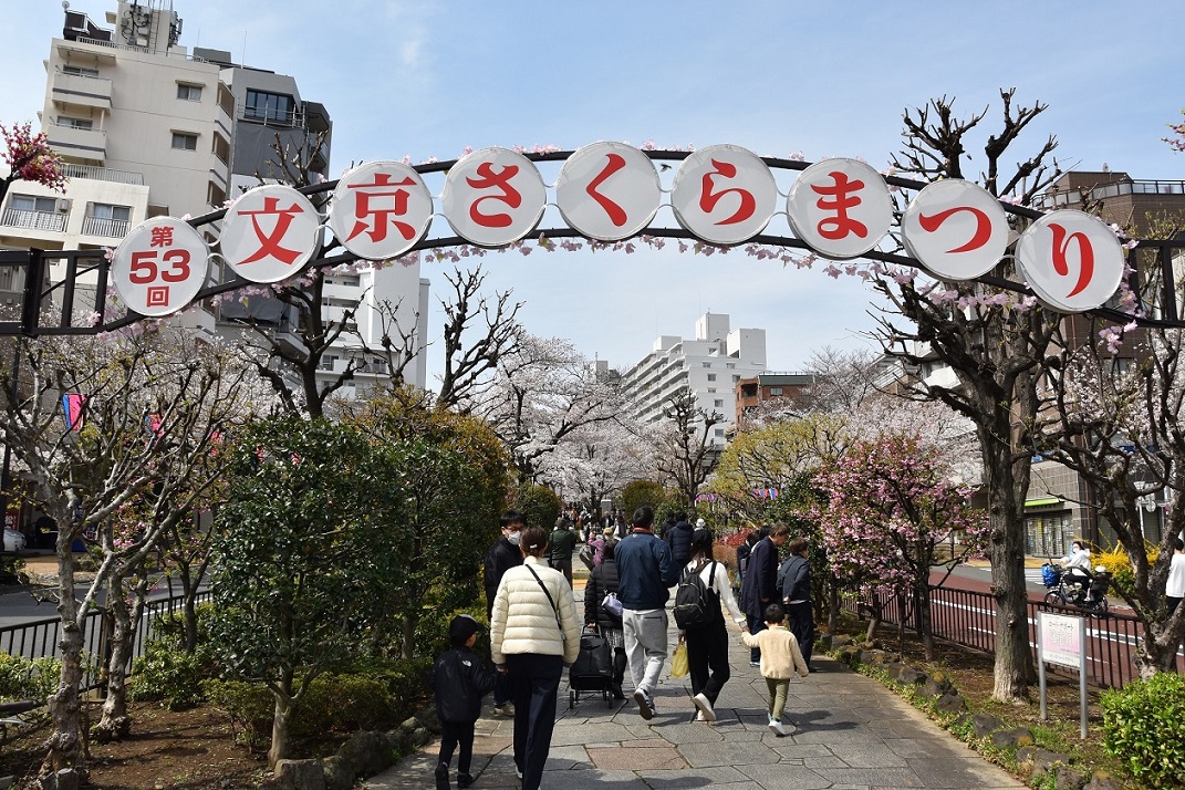 「第53回文京さくらまつり」会場の様子1