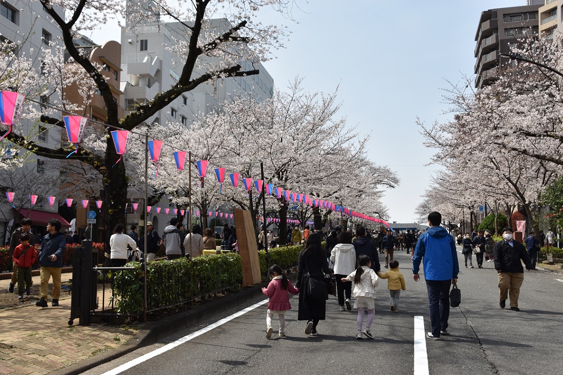 「第53回文京さくらまつり」会場の様子5