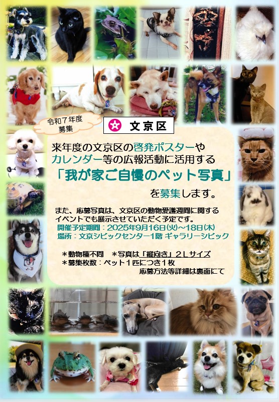 募集チラシおもて