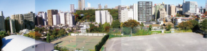 画像：南からみた町会全体