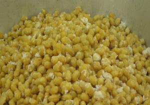 大豆も揚げます