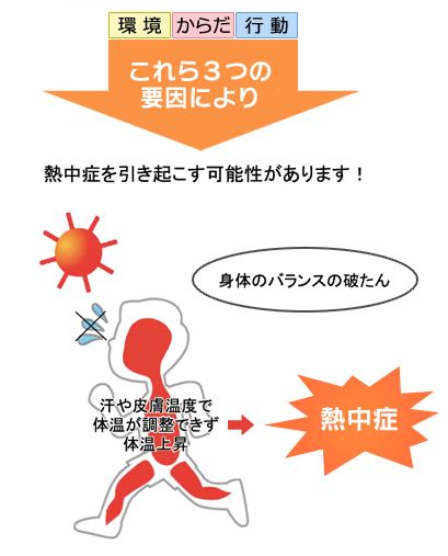 熱中症の3つの要因