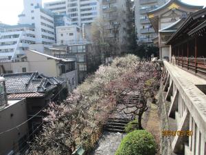 令和6年2月20日（火曜日）梅5