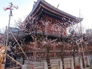 令和6年2月26日（月曜日）梅4