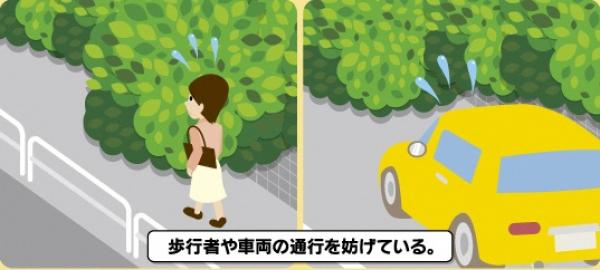 絵：歩行者や車両の通行を妨げている