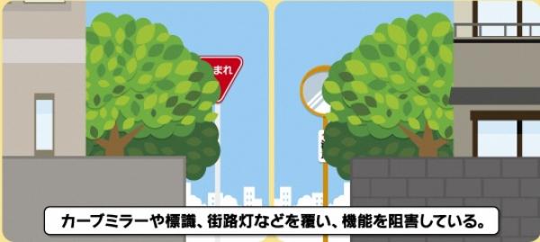 絵：カーブミラーや標識、街路灯などを覆い、機能を阻害している