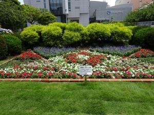 休日花壇全体写真