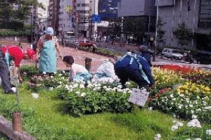 公園ガーデナーの作業風景の写真