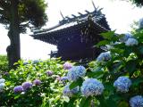 白山神社