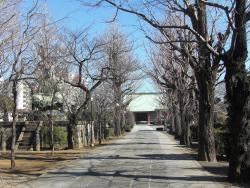 吉祥寺の写真