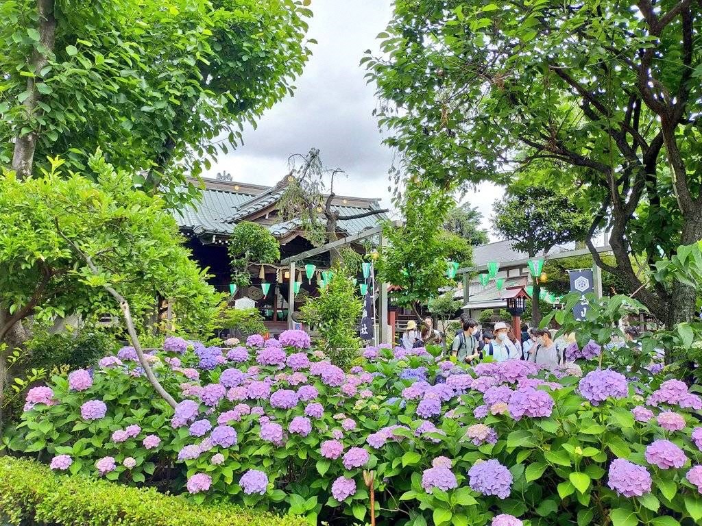 まつり会場